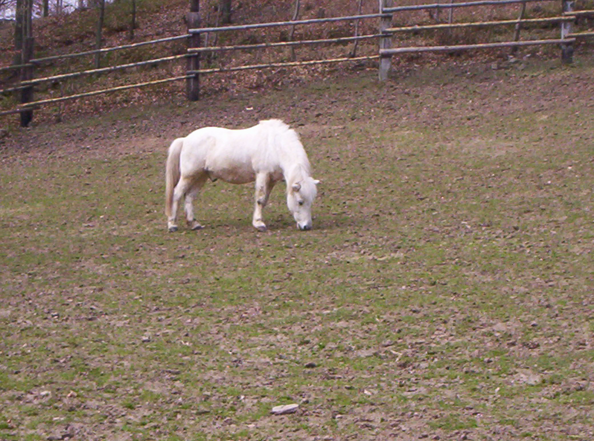 A BEROUSEK