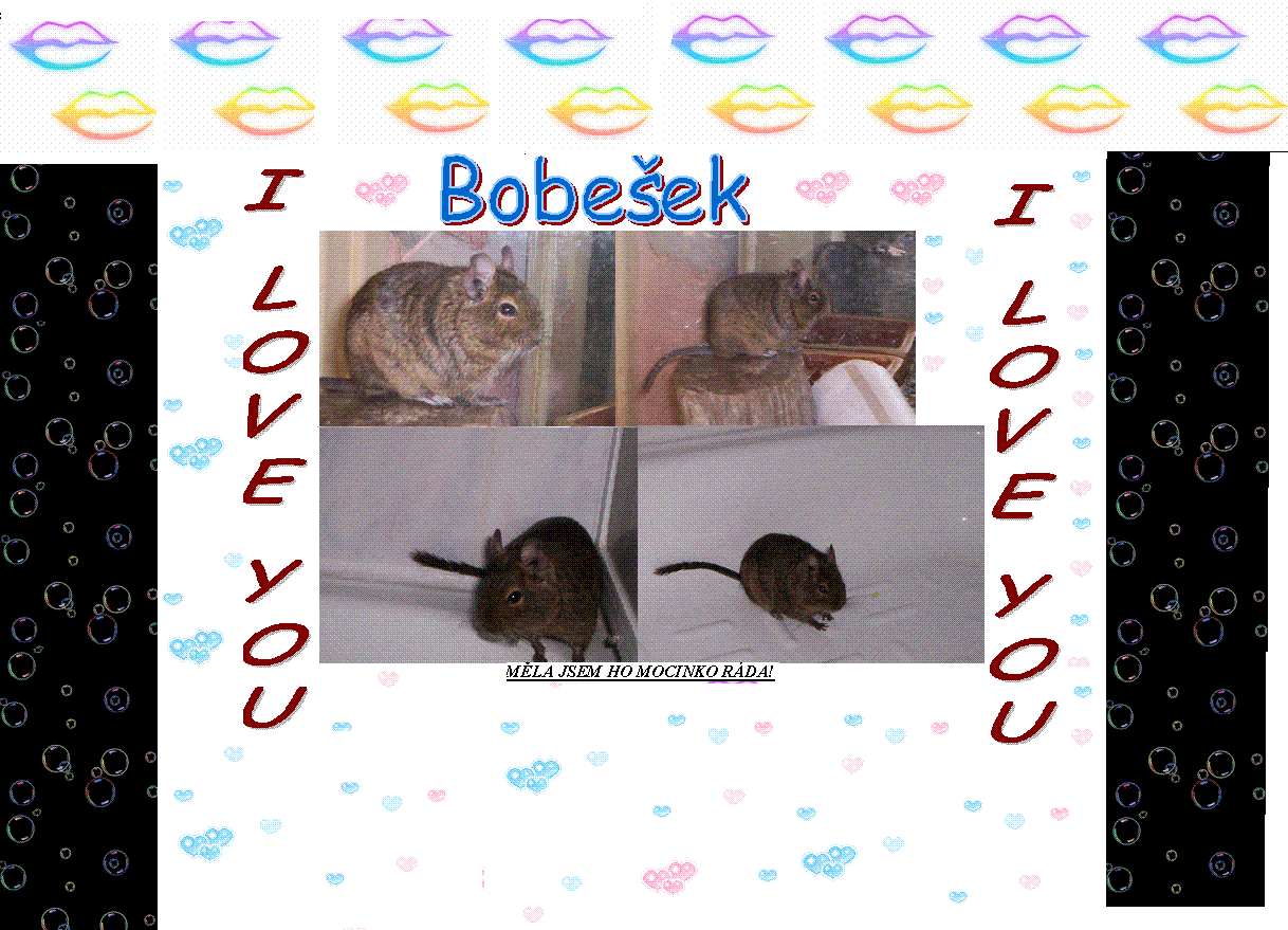 BOBEŠEK KOLÁŽ.GIF